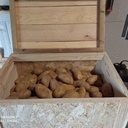 Boîte à patate
