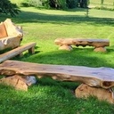 Un abies de 180 ans, destiné au feu. Selon vous, sauvetage réussi ?