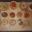 Ensembles de dessous de verres de 8 essences