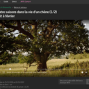 Quatre saisons dans la vie d'un chêne