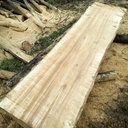 Sciage  grumes de frêne