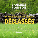Challenge PLAN BOIS - Un plan B pour les feuillus déclassés - Deadline 12 oct. 2025
