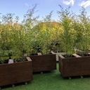 Bac à plantes sur roulettes en bois de terrasse