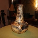 Tournage d'un trognon de marronnier (vidéo)