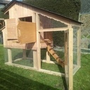 petit poulailler pour deux poules