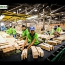 Voila pourquoi certain meubles massifs sont si abordables dans nos magasins..