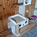 Arbrachat, Arbre à chat ... miaou ?