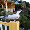 Mes autres sculptures.