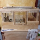 Cage à cochon d'inde