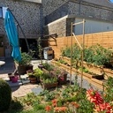 CLÔTURE ET JARDINIÈRES EN DOUGLAS