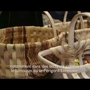 Le chataignier en France et en Espagne