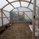 Une petite serre tunnel