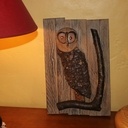 Chouette de chouette