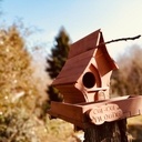Cabane à oiseau