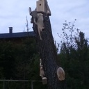 Cabane oiseau bonhomme