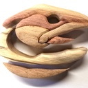 Le poisson des étangs de Sologne