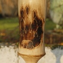 Chope à pied en Frêne