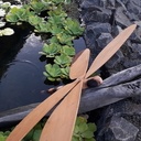 Libellule et son bassin...