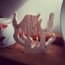 poisson des iles ...