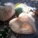 Coeurs en pagaille !