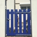 Remplacement portillon bois lasuré