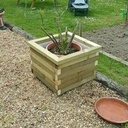 Bac pour laurier rose