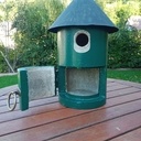 Nichoir à mésanges Ciment et bois