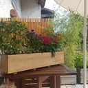 Jardinière en châtaignier