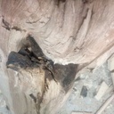 Un tronc dans un tronc