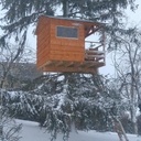 Cabane dans les arbres