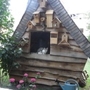 Petit cabanon de sorciere