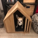 Un panier design en chêne pour chien