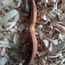 8ème cuillère de 2023 : Cuillère en Cerisier à fleur cuite au four.