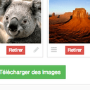 Téléchargement multiple d'images