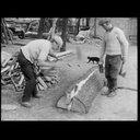 Courber du bois vert (technique à l'ancienne)