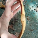 36 ème cuillères de 2023 : Cuillères en érable