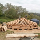 4 - Bois de brin bien massif