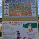 Le chemin des animaux