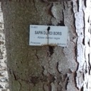 Trouvé dans un parc en normandie