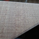 Pommier ou poirier (anneaux de croissance tous les 3mm environ)