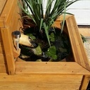 Mon Bassin de  90 litres