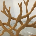 Arbre à bijoux