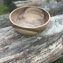 Un petit bout de noyer