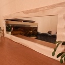 Un miroir avec des formes