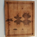 Planche à decouper n 2/ bois debout