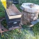 Ruche tronc Suite ...