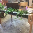 Un bureau jardinière par un jardibéniste
