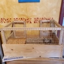 Cage à cochon d'inde