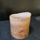 Un pot de platane noueux