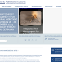 Insectes du patrimoine culturel